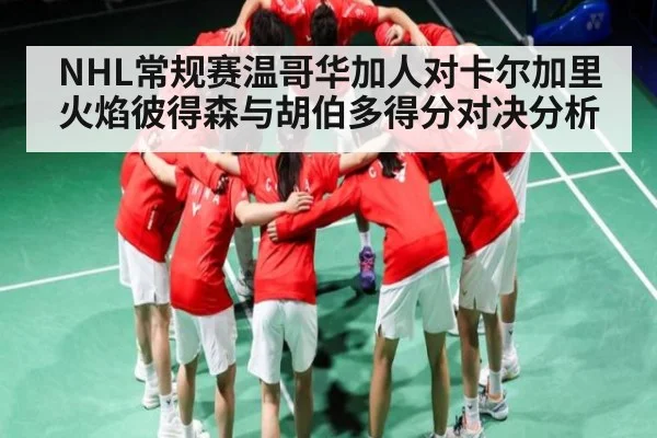 NHL常规赛温哥华加人对卡尔加里火焰彼得森与胡伯多得分对决分析